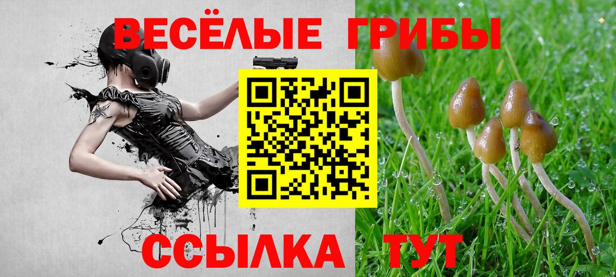 Галлюциногенные грибы мицелий Рубцовск