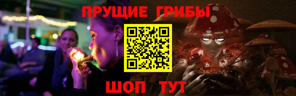 Псилоцибиновые грибы мицелий  Вход с VPN  Псилоцибиновые грибы Psilocybine cubensis  сколько стоит  Рубцовск 